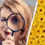 10 emberből csak 1 találja meg a szarvast egy képen