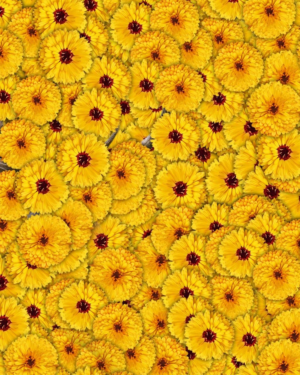 10 emberből csak 1 találja meg a szarvast egy képen 7 másodperc alatt: egy nagyon bonyolult optikai csalás