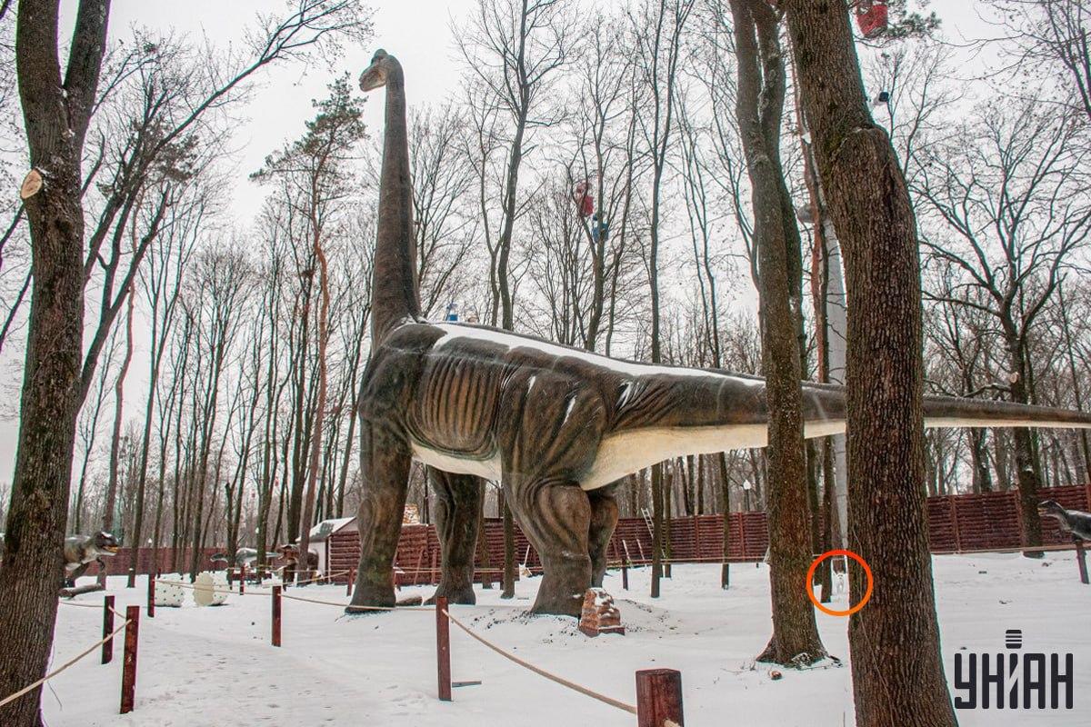 A kutya a kép bal alsó sarka közelében volt / Moje kollázs